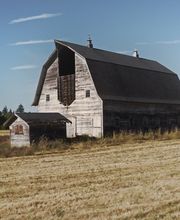 Ramble Creek by Holt Homes image 1