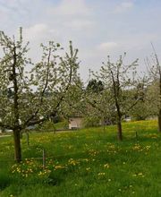 Familie Menzi Bild 1