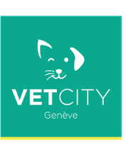 VETCITY - Cabinet vétérinaire Genève Bild 1