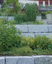 Fellmann Gartenbau AG Bild 5