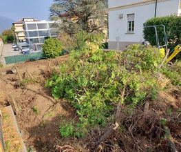 Caccia Giardini Sagl Bild 10
