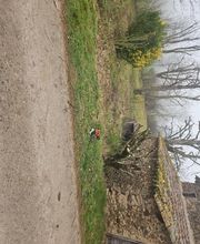 Lau Jardi Services image 3