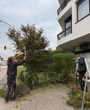 All Around Service Bild 13