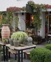 Blumengalerie Mattmann AG Bild 4