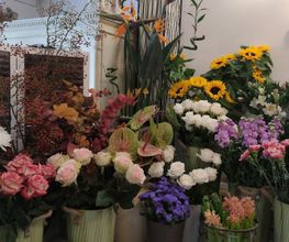 Gallery Cliente