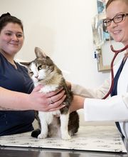 Willowbrook Veterinary Clinic image 4