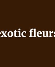 Exotic Fleurs image 2