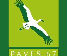 Paves 67 image 1