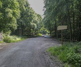 FriedWald Bad Berka Bild 10