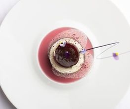 Paul Bocuse image 11