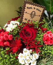 Floristería Campo y Jardín imagen 19