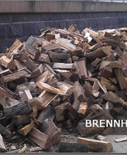 Baumdienst Schaller Bild 7