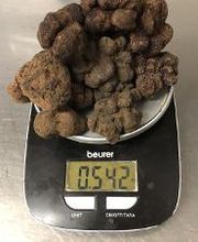 Pizzeria Restaurant d'Octodure Bild 7