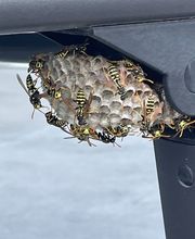 Hms Borscheid Bild 3