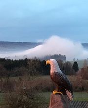 TCM Praxis für Frauen und Schmerzpatienten/Innen Bild 13