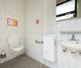 Shell Bild 12
