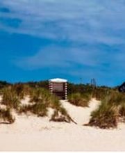 Dr.med.dent. Stefanie Koestner Bild 4