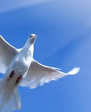 AXA Gery Lenain Agent Général image 3