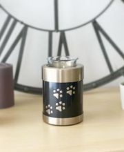 Funema Alzira imagen 3