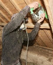 Agence Antiparasitaire du Bois Lignol image 2