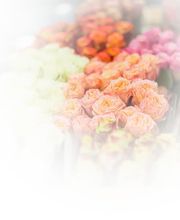 BlütenZauber Binderei Bild 5