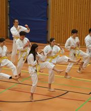 Karate-Teens