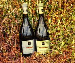 Domaine de Tanella image 16