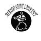 Aikido Saint Laurent De Chamousset