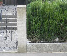 Mathis Gartenpflege und Gestaltung GmbH Bild 1
