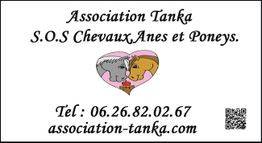 Association Tanka S.O.S Chevaux,Ânes et Poneys.
