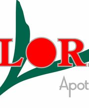 Thomas Lindlein Flora-Apotheke Bild 4