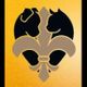 South Paws Veterinary Surgical Specialists