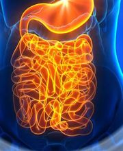 SCHÖNHEILEN - Ina Leitner | Hormonbehandlung - Abnehmspritze - Faltenbehandlung Bild 5