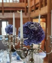 Magnolia Floristik Bild 2