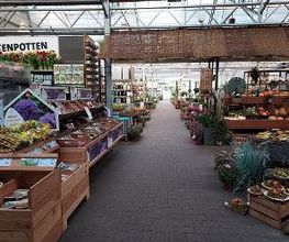 Intratuin Amersfoort afbeelding 3