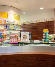 Gallery Professionale