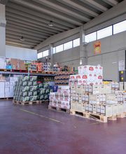 Gallery Professionale