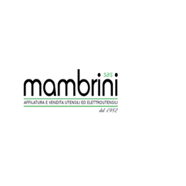 Mambrini S.a.s. logo