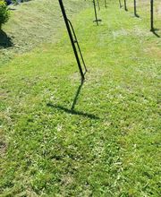 CL Multi Services image 10