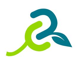 RECONNECT image 8