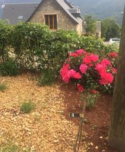 Service d'Aure image 4