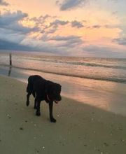 Hope Realty & Development image 1