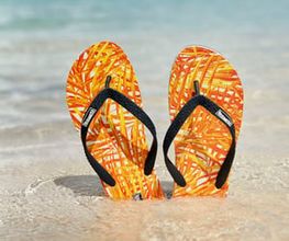 Cruise 25 Collection