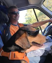 Malermeister Friedsam Bild 4