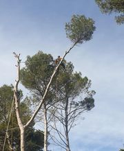 Sannier David Espaces Verts image 19
