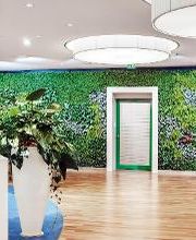 Gärtnerei Schöbel Bild 13