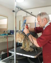 Profil Canin image 13