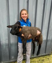 ClinicVet Vétérinaire Foucarmont image 4