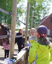 Familiencampingplatz Haselünne Bild 11