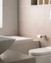 Gungui Vincent image 2